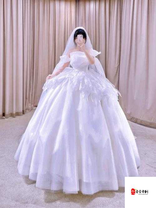 仙踪林在线入口欢迎您婚纱：浪漫婚纱开启梦幻之旅