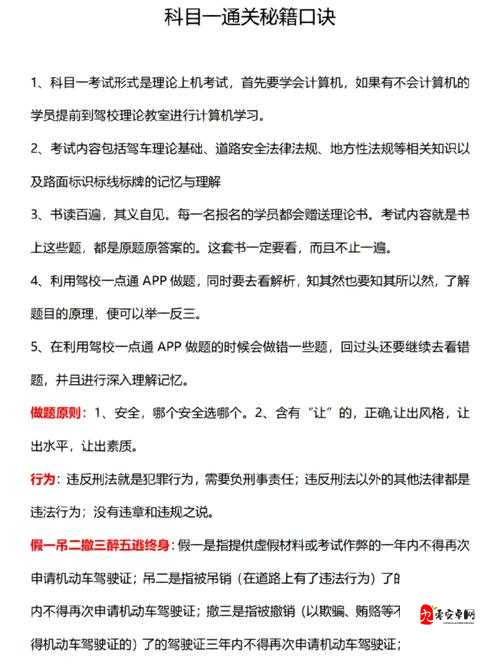 真王新手必看，试练塔通关秘籍大公开！