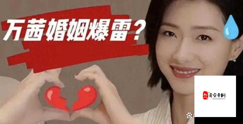 娱乐圈某明星出轨事件引发全网热议：婚姻忠诚度再受关注