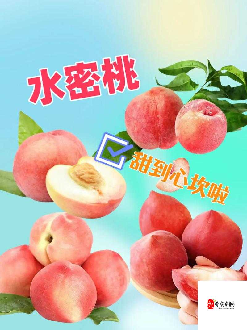 无一二三四蜜桃之独特魅力大揭秘