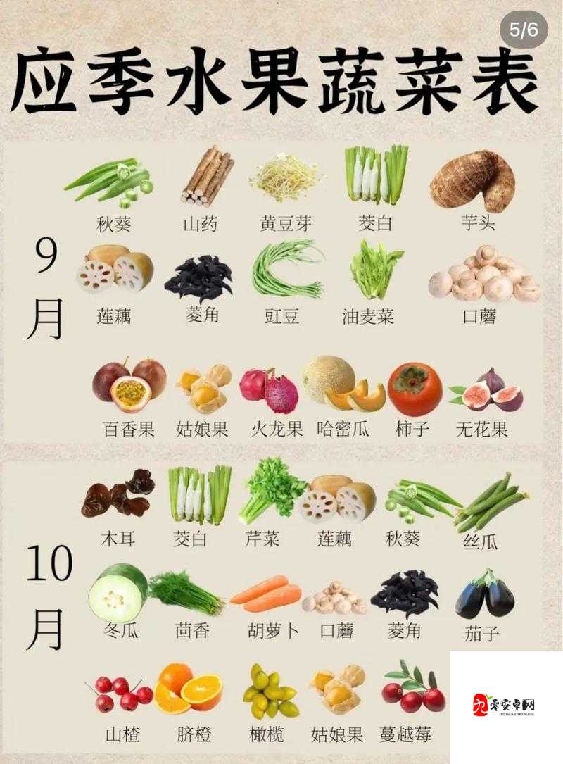 草莓茄子秋葵香蕉丝瓜榴莲的奇妙组合大揭秘