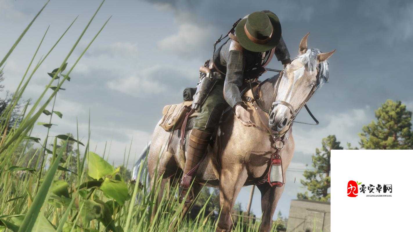 荒野大镖客：大妈的传奇冒险之旅