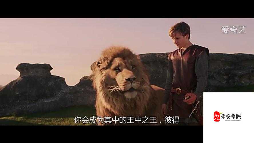 狼群社区：一起探索日本免费观看安卓版的精彩世界