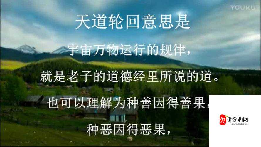 天道轮回新手攻略，快速获得天道与天道值用途深度解析