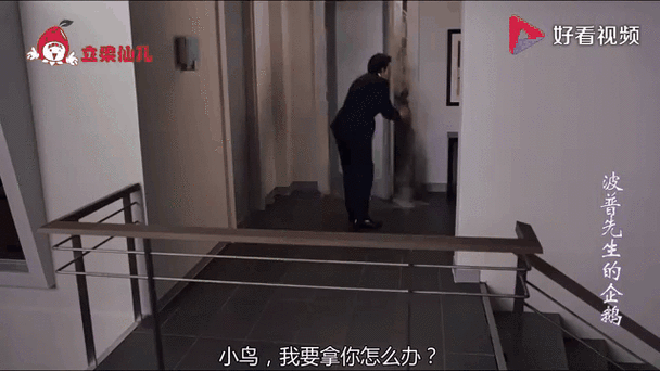 逼逼狗影院：畅享精彩影视大片的绝佳之地