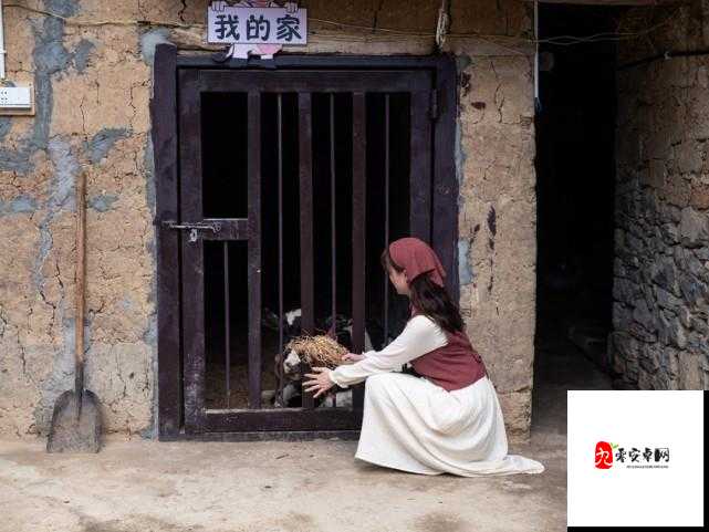 有一婷婷色：揭秘其神秘面纱