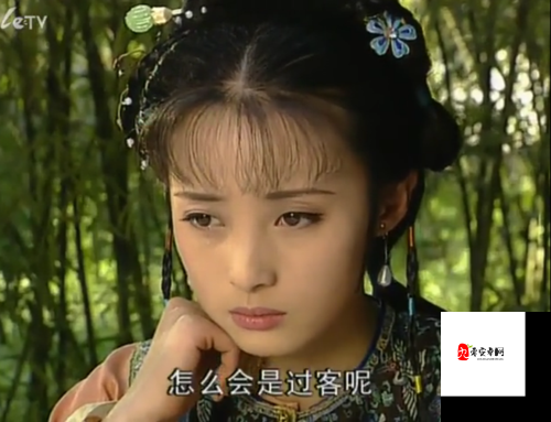 野花香电视剧完整版高清：精彩剧情不容错过的佳作