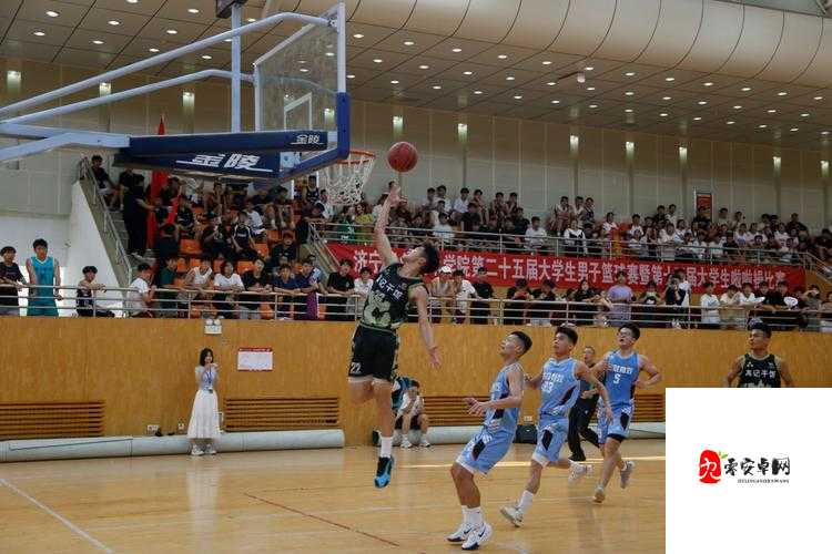 大学篮球体育飞机Chinese的特点-独特魅力与多元价值展现