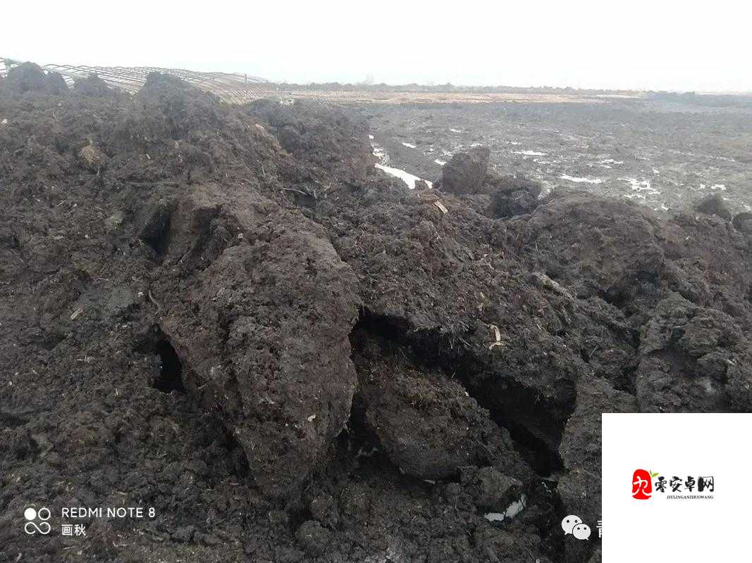 珍贵的黑土地为何张嘴流泪？高清图片揭示背后的惊人真相