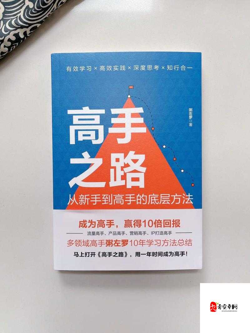 变身吧主公高手进阶秘籍，解锁你的霸主之路