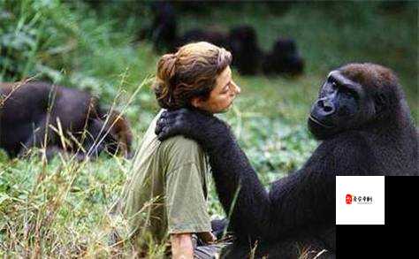 非洲美女与动交 ZoZ0z：探索神秘的动物世界