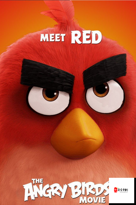 愤怒的小鸟胖红，从游戏图标到心灵领袖的传奇之旅