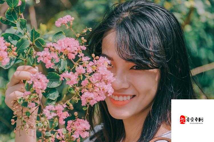 探索日韩电影中不为人知的世界：揭示成人电影的真实面貌