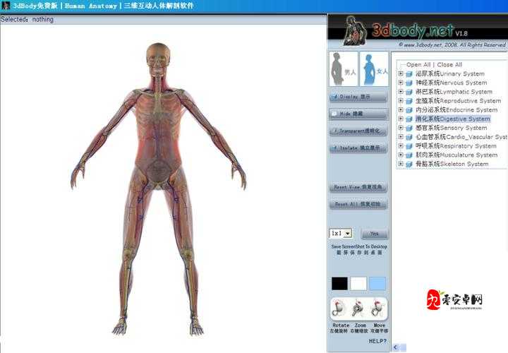 老女人屄：探索女性身体的奥秘