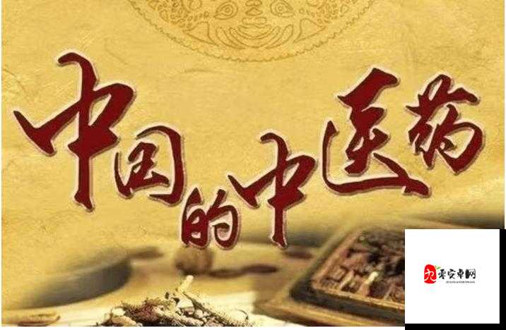 国药精之气：传承千年的中华瑰宝