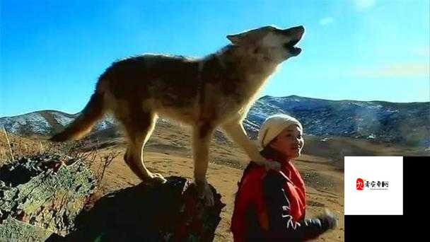 狼色视频在线观看：带你领略大自然的奇妙魅力