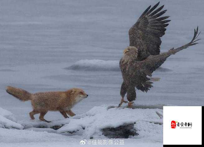 91 全国大片 ：带你领略全国各地的精彩影像之旅