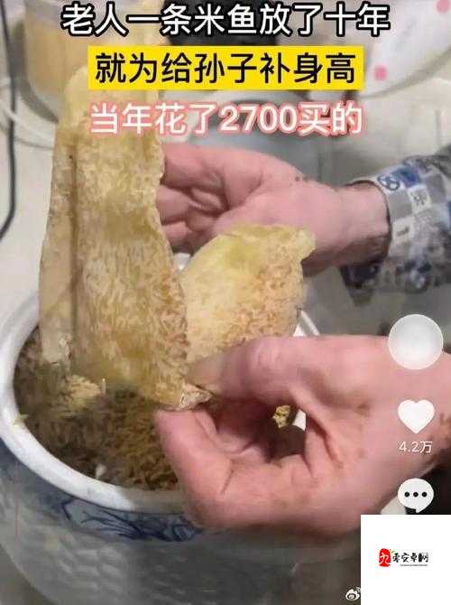 今日新鲜事：那些你不知道的新奇事儿