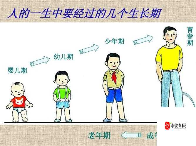 雏鸟成人版：从稚嫩走向成熟的成长历程