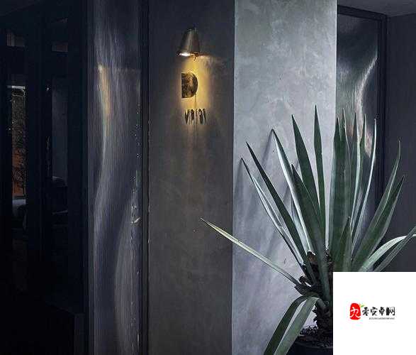 夜里用的 18 款禁用：打造私密专属空间