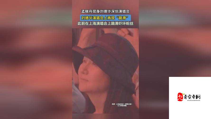 红桃官方隐藏人口相关情况探析