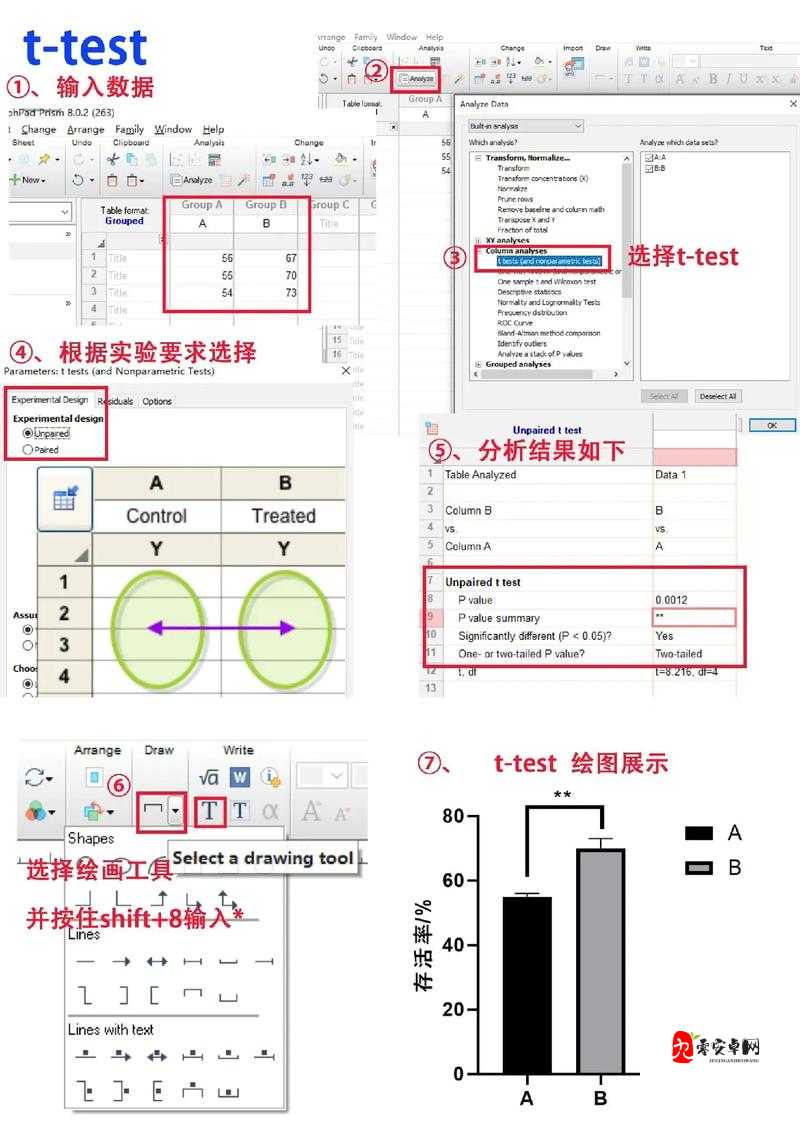 中文字幕一二三产区区别之详细解读与差异分析