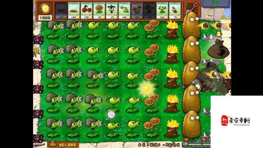 植物大战僵尸无尽生存模式全攻略