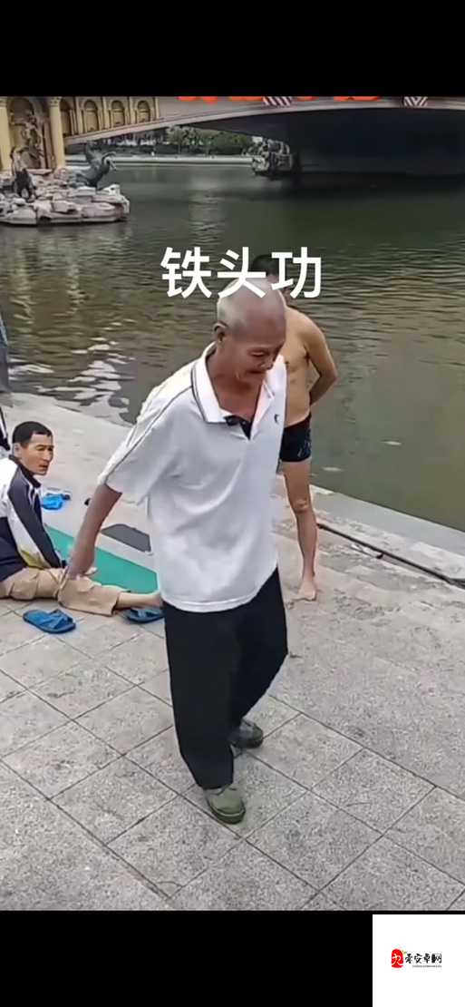 张警官撞玻璃视频全集中的那些精彩瞬间与震撼场景