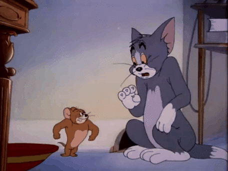 猫和老鼠中的猫类介绍及其在资源管理中的重要性