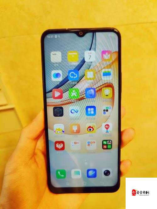 成色好的 Y31S 标准版下载：让您轻松获取优质体验