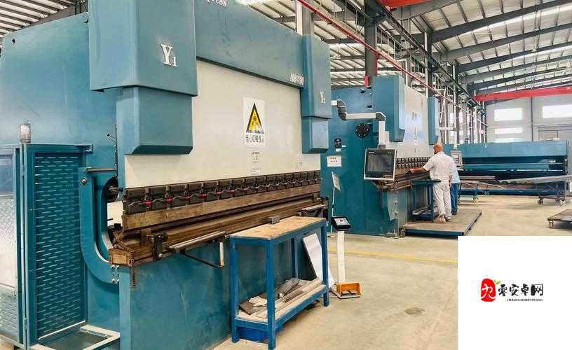 欧美黑人 xxxxww 的独特魅力与故事