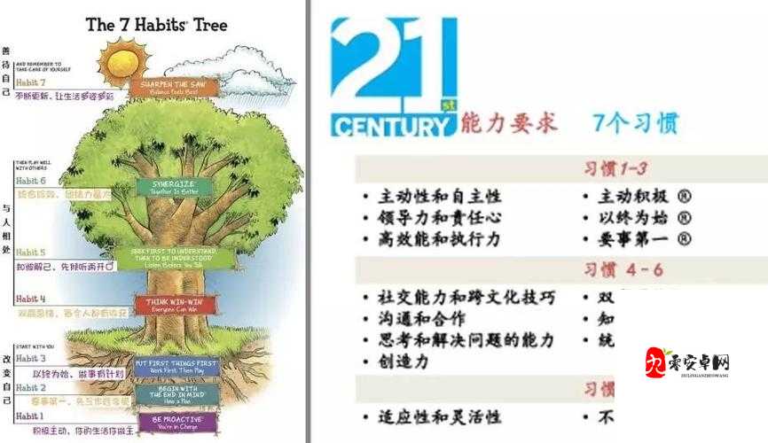 一体 7 交是哪 5 个地方遭人嫌弃：深入探究背后原因及影响