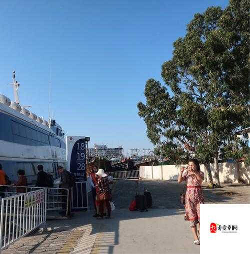 jy 浇灌系统公交车：一场别样的城市之旅