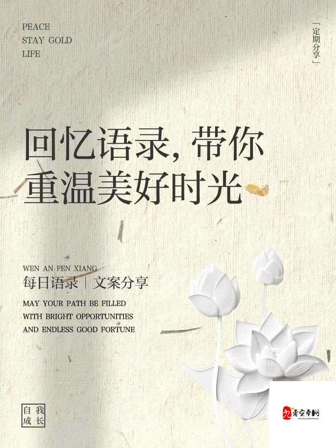 懵懂时光 276 话免费下拉：带你重温那段美好岁月