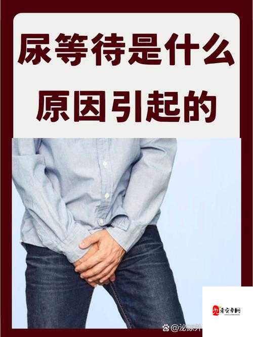 尿在肚子里不能流出来肉：探寻其背后的神秘现象与原因