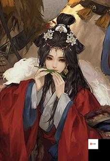 王昭君阵容攻略，解锁率土之滨的无限可能