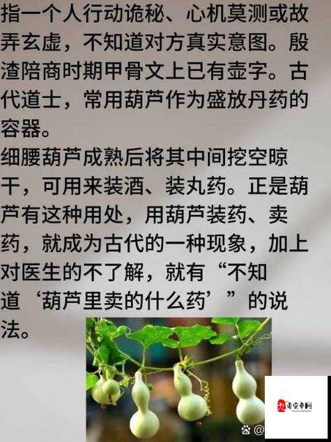 hlw32life 葫芦里不卖药但有很多有趣的内容等你来发现