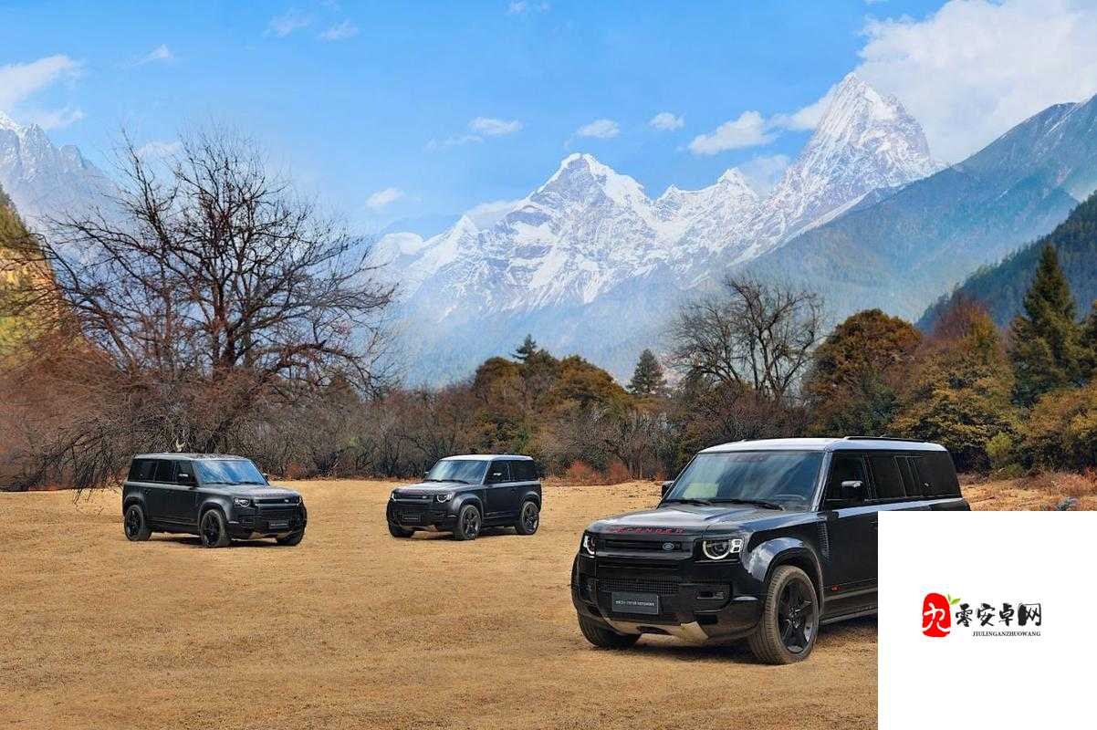 497799 欧洲版的国产 SUV 有什么特点：详细解析与优势探究