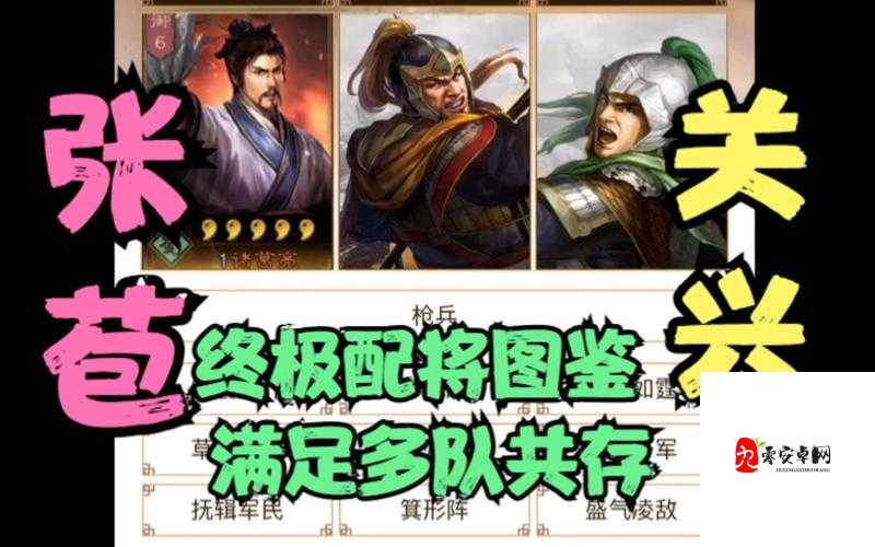 三国志战略版关兴阵容如何搭配，关兴阵容搭配攻略介绍