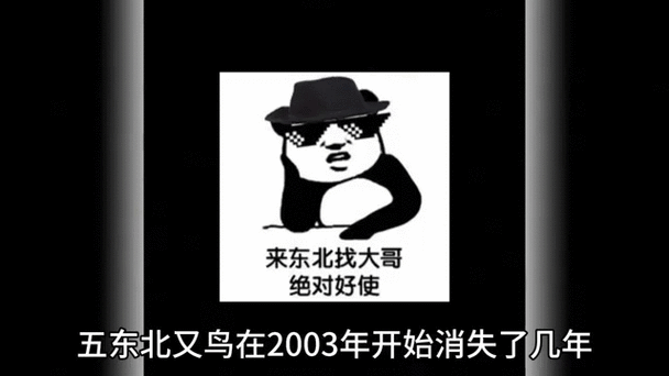 911 吃瓜爆料网八卦有理官网：揭秘娱乐圈隐秘趣事