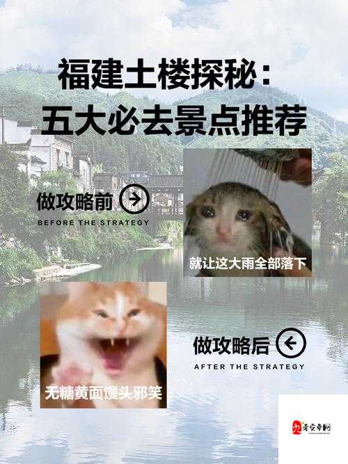 福建菠萝导航隐藏 APP 入口：探秘其隐藏之法