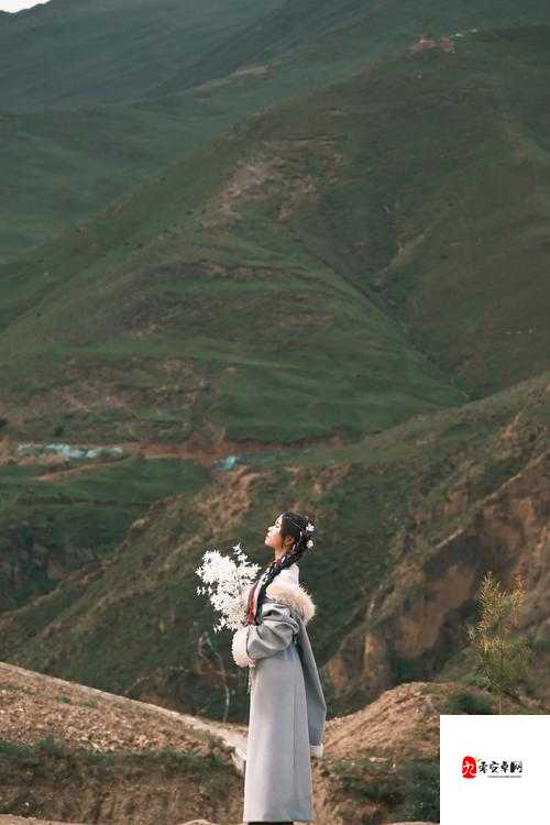 天堂草原角色人气榜：谁将登顶草原人气巅峰之位