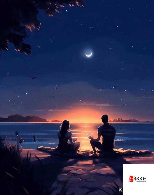 wwwsss 精品：探寻未知的奇妙之旅