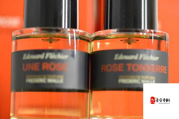 夜色玫瑰比无人区玫瑰贵多少？答案惊人