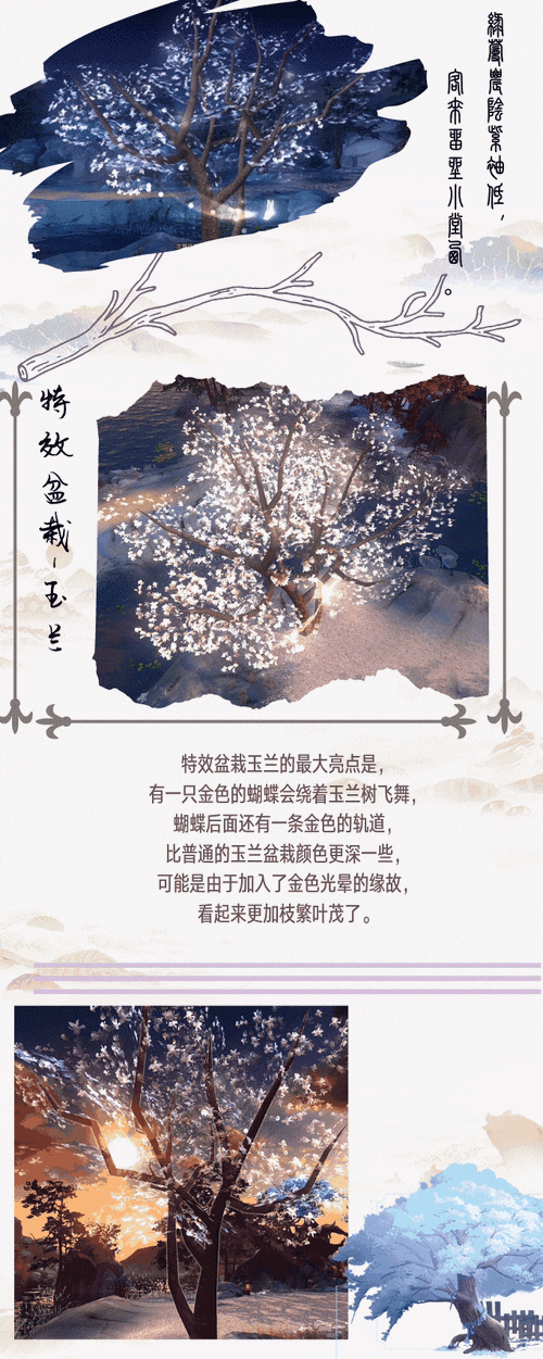 新倩女幽侠侣大赛特别篇怎么玩，侠侣大赛特别篇玩法攻略全解析