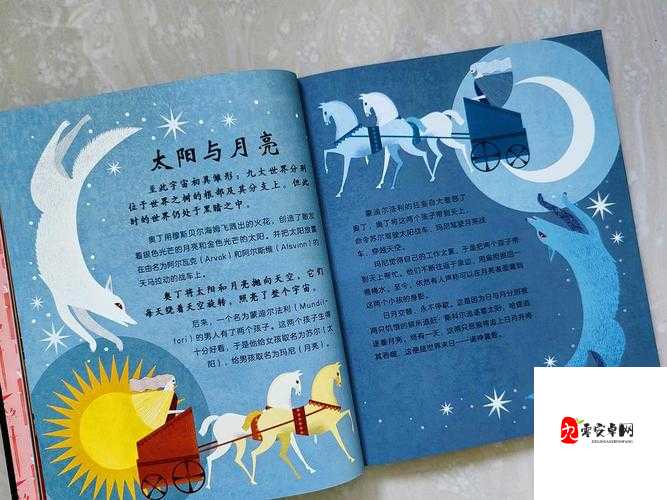 小说：获得超级胬肉系统，开启奇幻旅程：勇闯神秘世界，探索未知力量