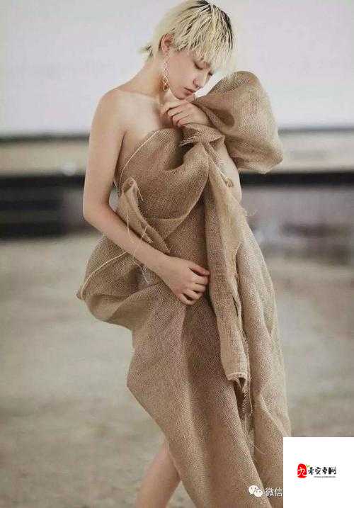 欧美精品XXXXBBBB：关于其详细介绍与深入分析