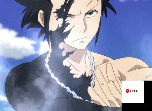 绯石之心格雷表现如何，格雷能力一览在资源管理中的重要性及高效运用策略