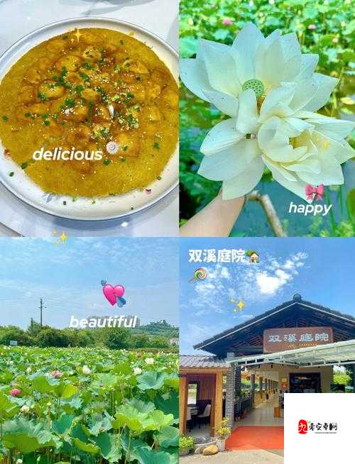 探秘乡村风情，我的农家乐特色讲解与特色玩法全揭秘