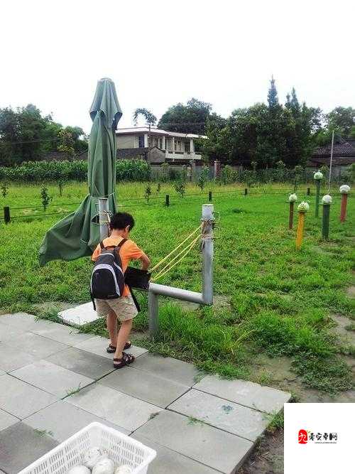 我的农庄新手入门全攻略，从零开始的田园牧歌